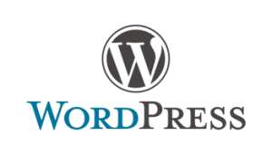 WordPress Development Services In Pakistan