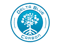 C_Delta-Blue-Carbon